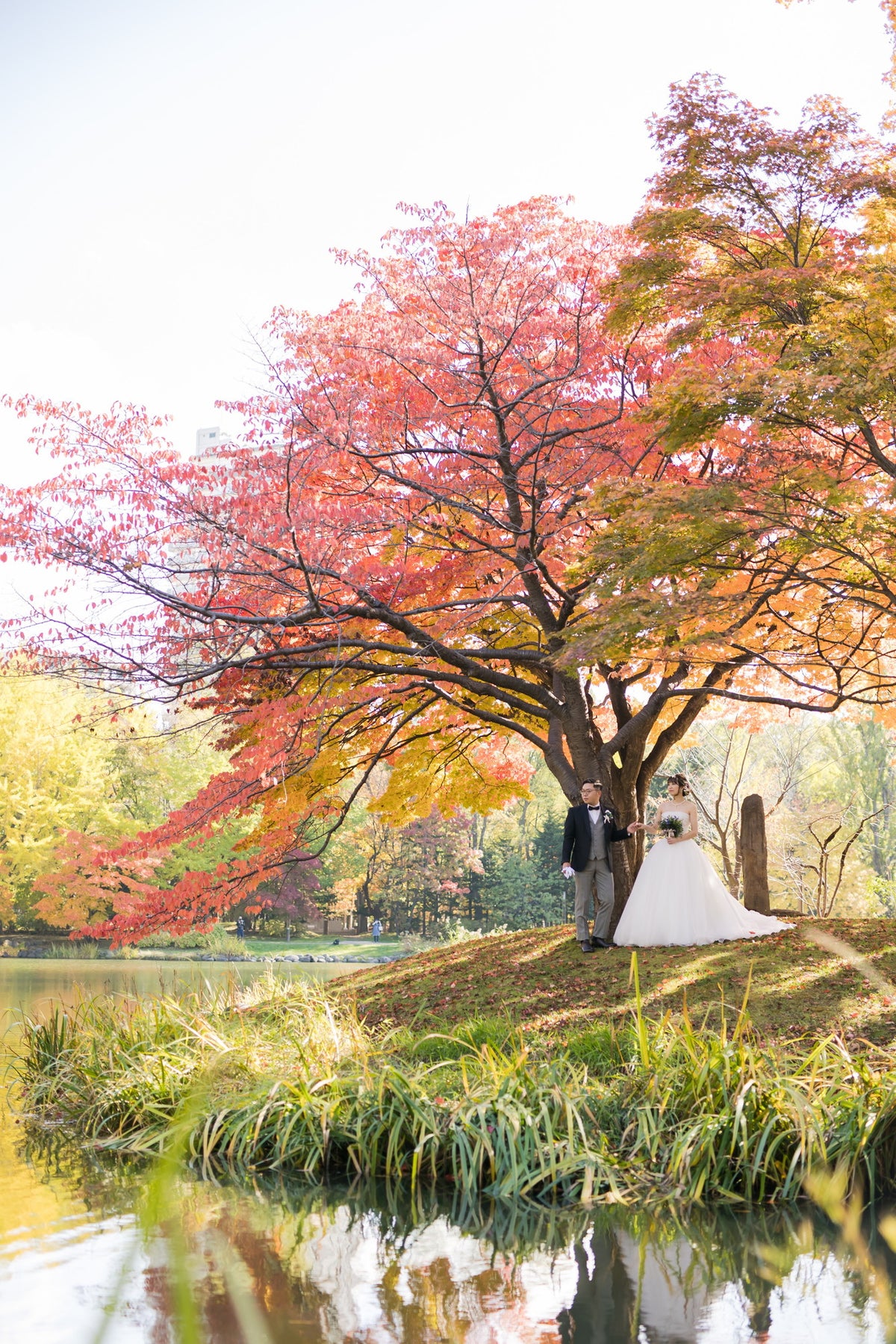 フォトスタジオ　フォトスタジオ 店舗　札幌フォトスタジオ　中島公園