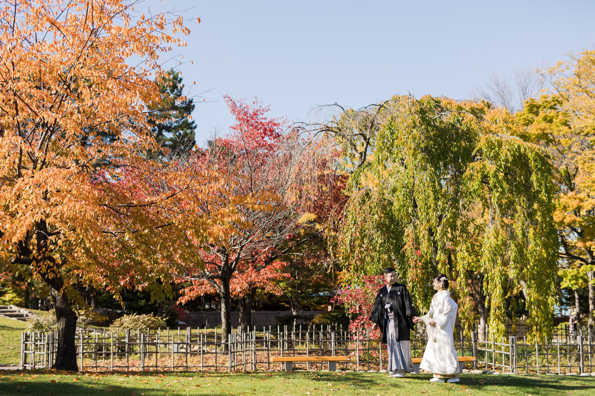 フォトスタジオ　フォトスタジオ 店舗　札幌フォトスタジオ　中島公園