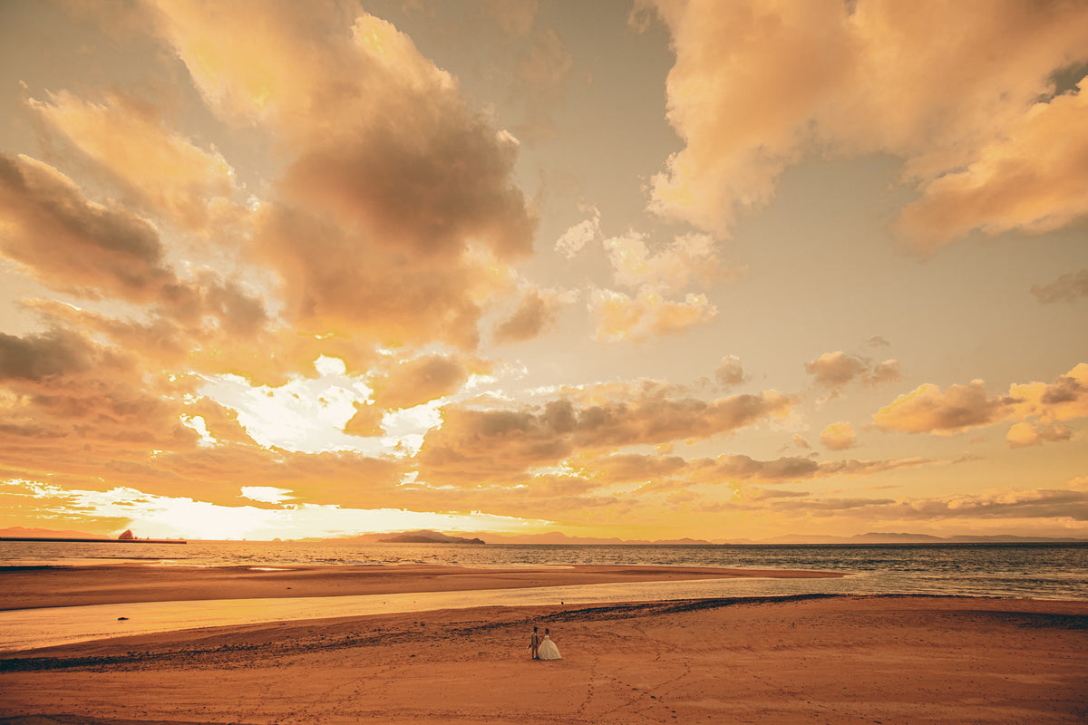 フォトスタジオ　フォトスタジオ 店舗　松山フォトスタジオ　モンチッチ海岸