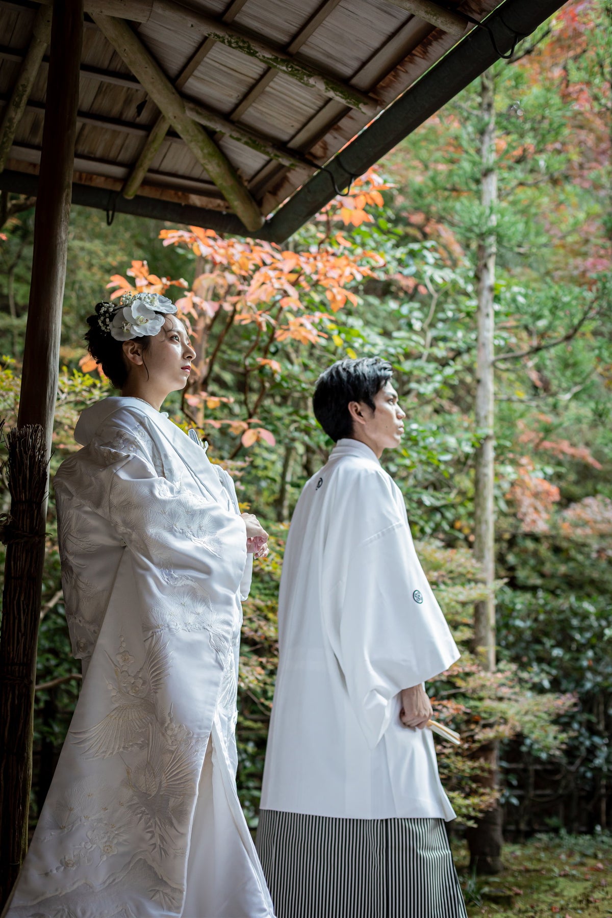フォトスタジオ　フォトスタジオ 店舗　福岡フォトスタジオ　呑山観音寺