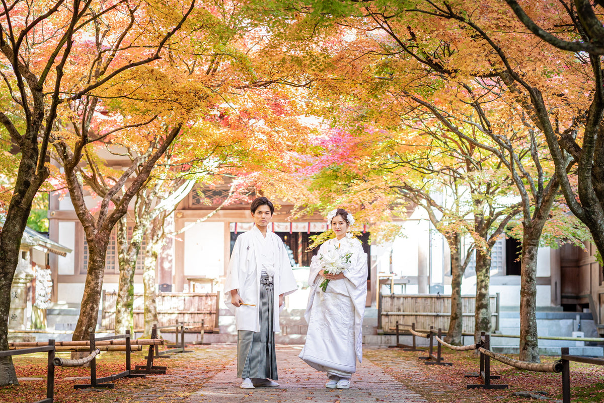 フォトスタジオ　フォトスタジオ 店舗　福岡フォトスタジオ　呑山観音寺