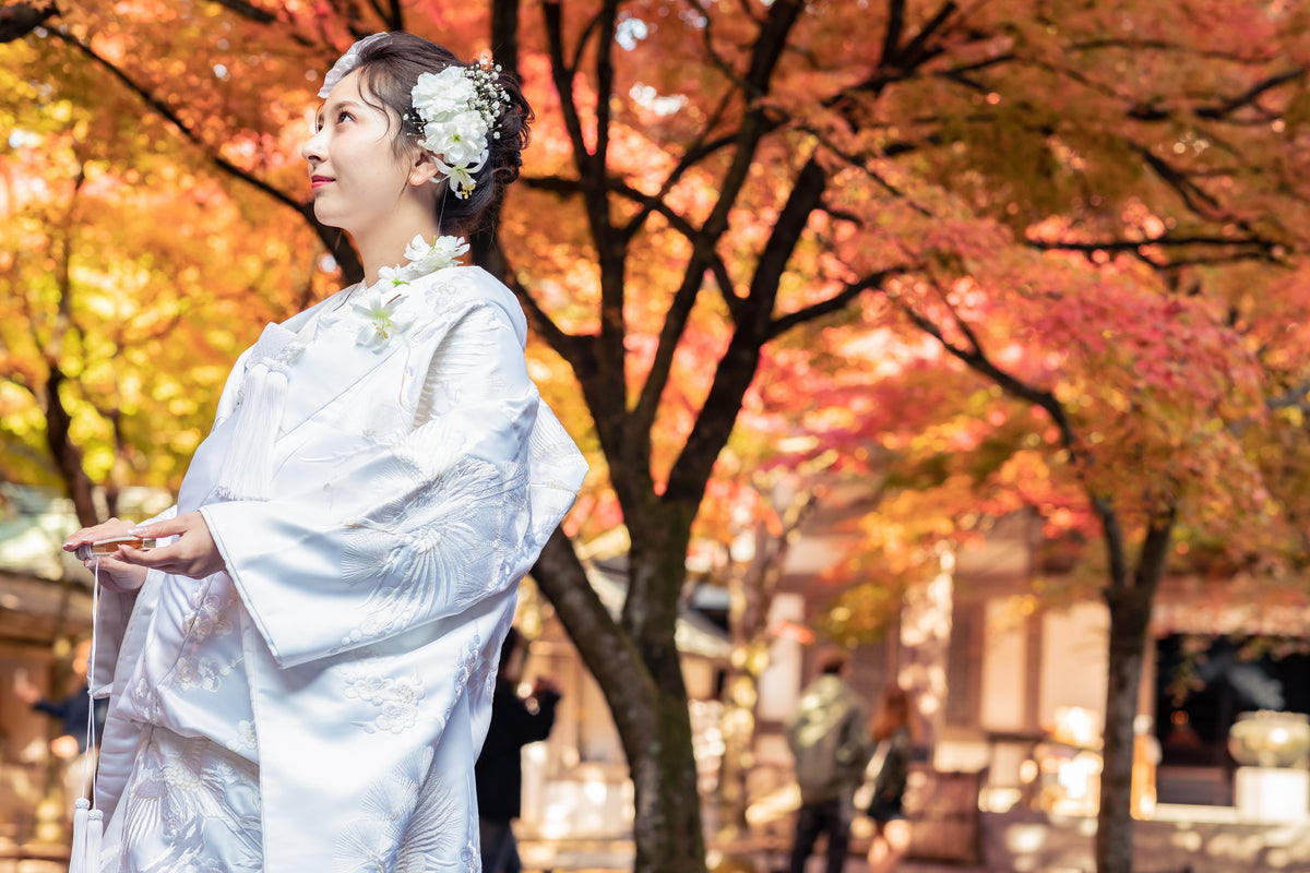 フォトスタジオ　フォトスタジオ 店舗　福岡フォトスタジオ　呑山観音寺