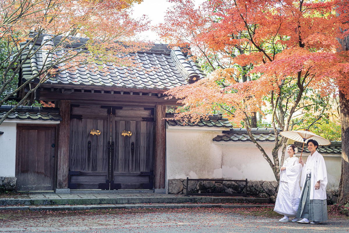 フォトスタジオ　フォトスタジオ 店舗　福岡フォトスタジオ　呑山観音寺