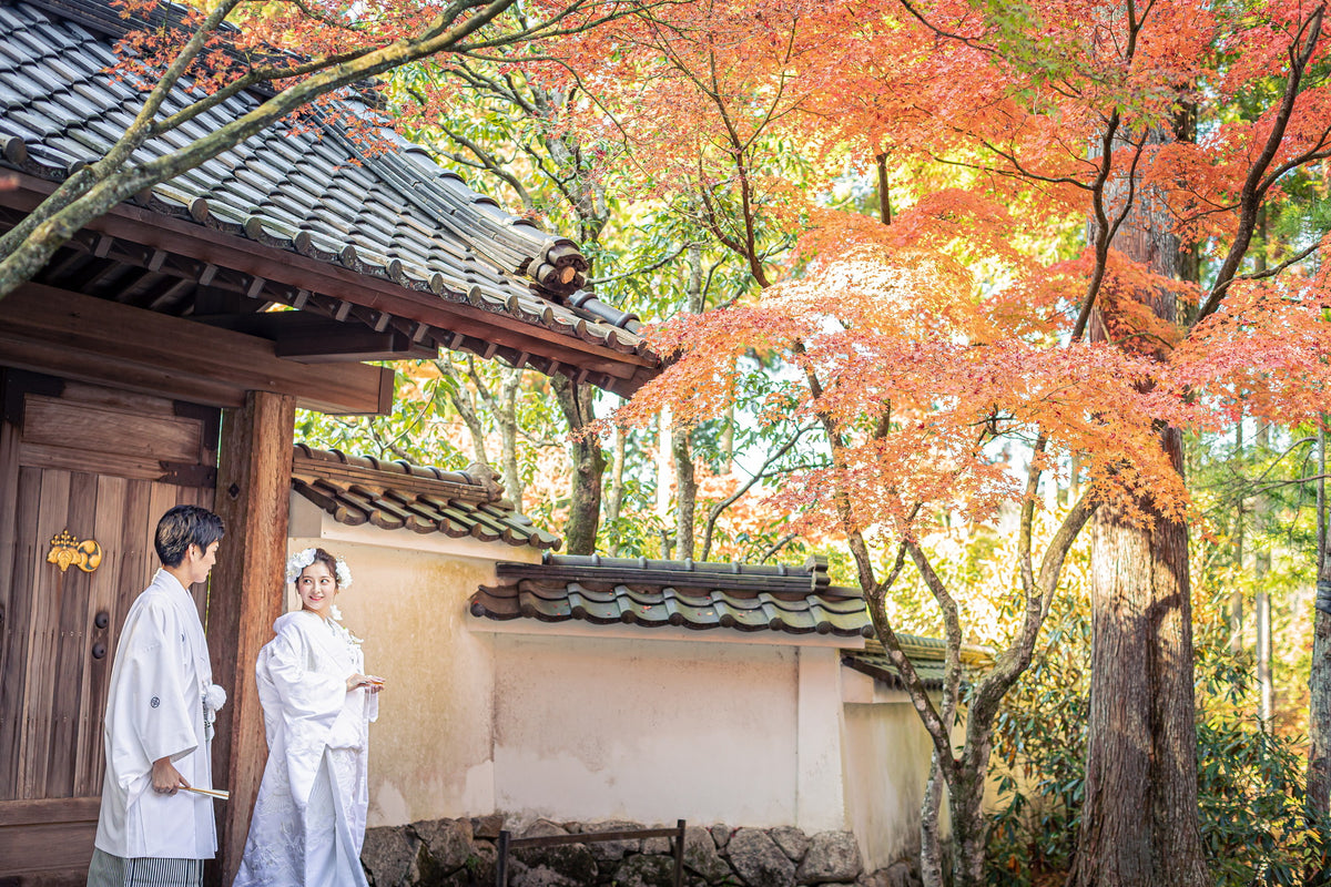 フォトスタジオ　フォトスタジオ 店舗　福岡フォトスタジオ　呑山観音寺