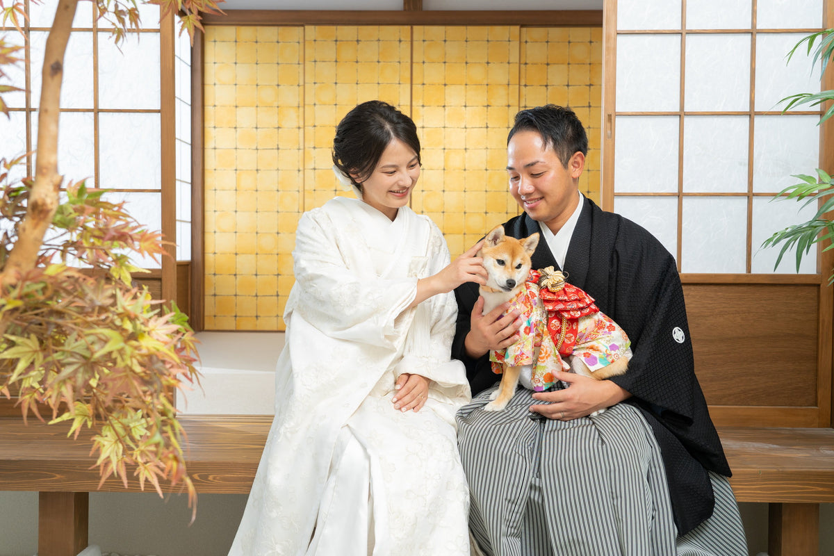 フォトスタジオ　フォトスタジオ 店舗　仙台フォトスタジオ　ペットフォト