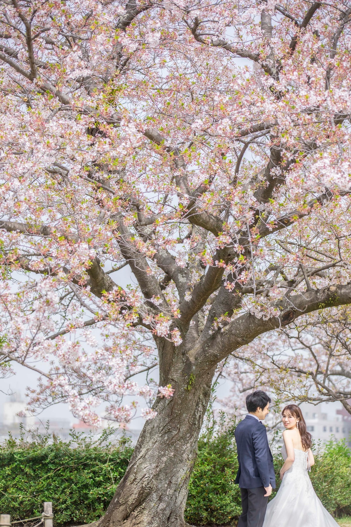 フォトスタジオ　フォトスタジオ 店舗　福岡フォトスタジオ　舞鶴公園（福岡城跡）