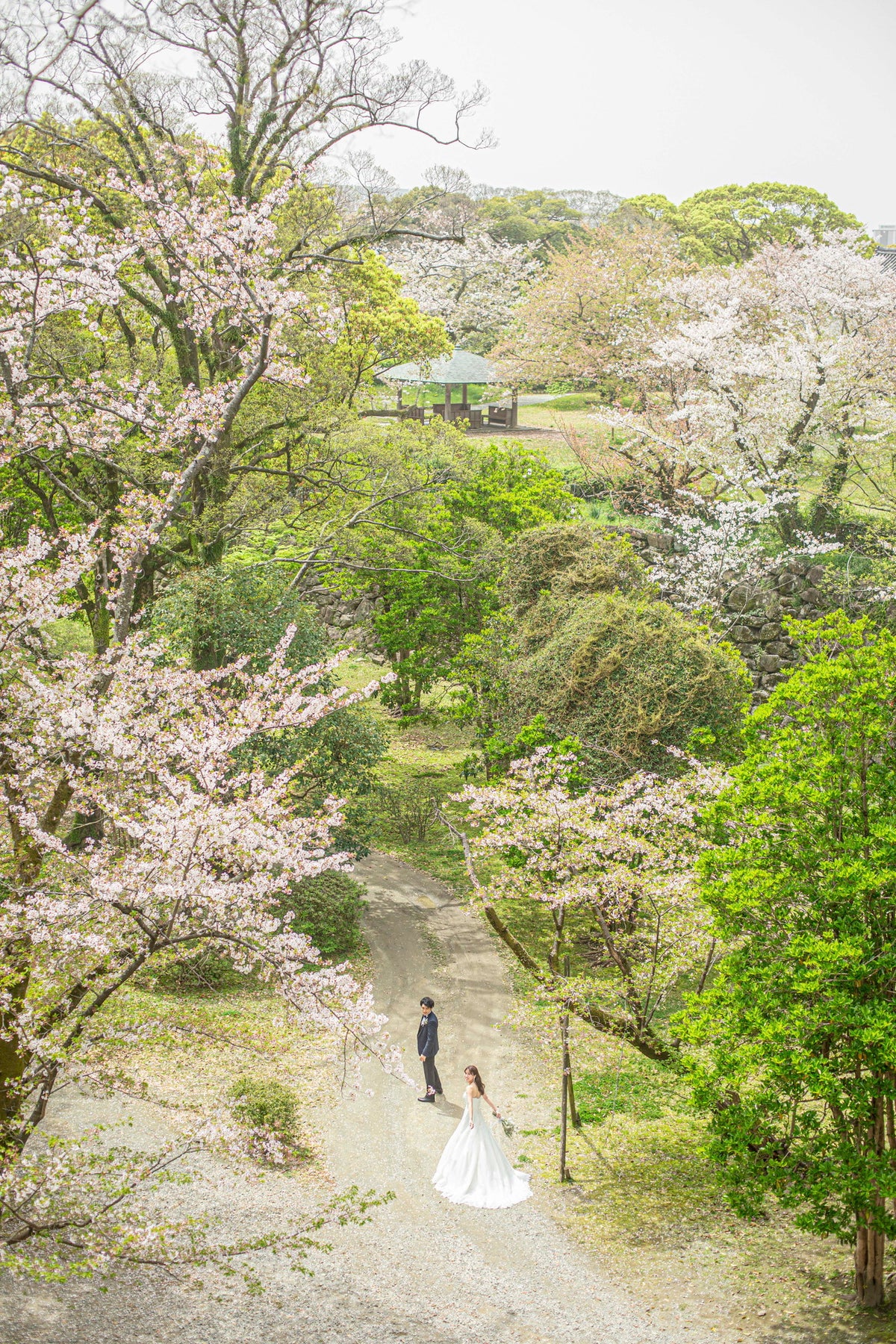 フォトスタジオ　フォトスタジオ 店舗　福岡フォトスタジオ　舞鶴公園（福岡城跡）