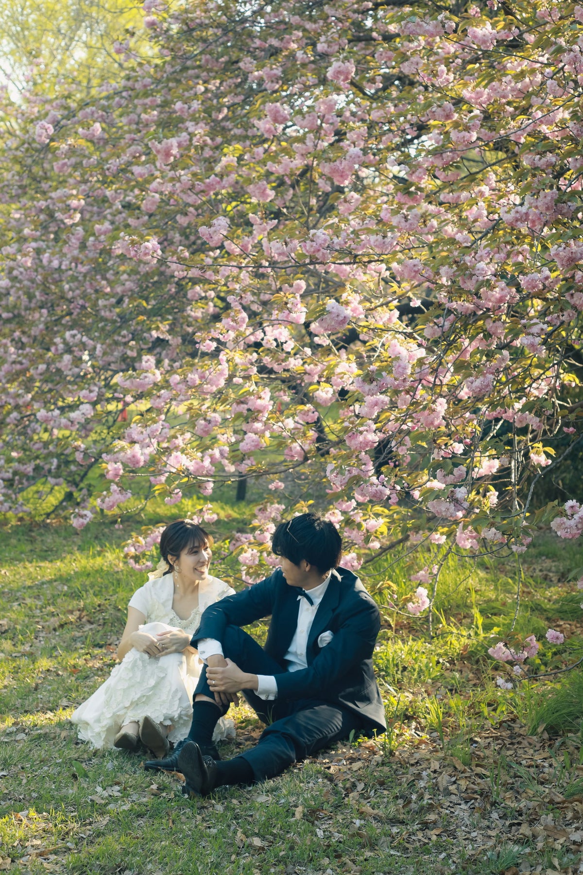 フォトスタジオ　フォトスタジオ 店舗　表参道フラッグシップ フォトスタジオ 　砧公園