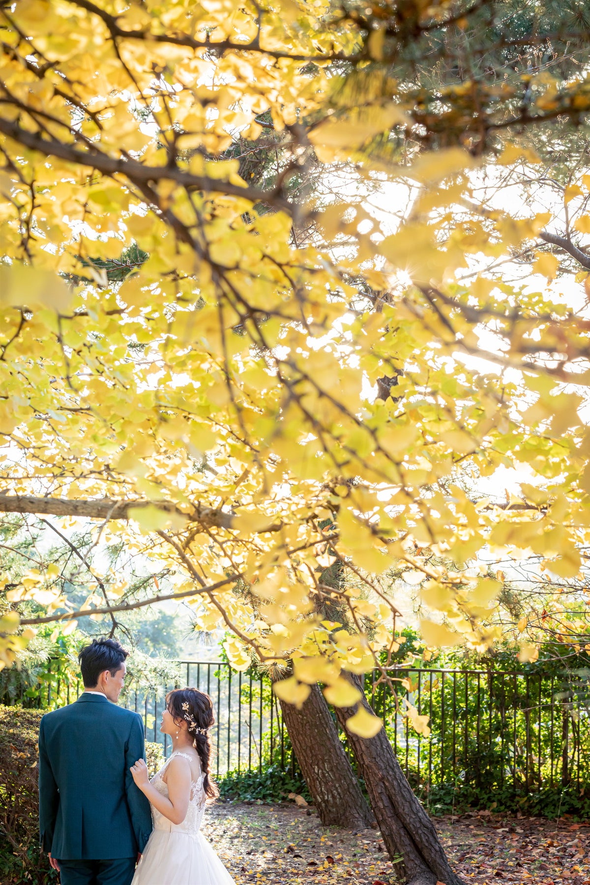 フォトスタジオ　フォトスタジオ 店舗　福岡フォトスタジオ　舞鶴公園（福岡城跡）