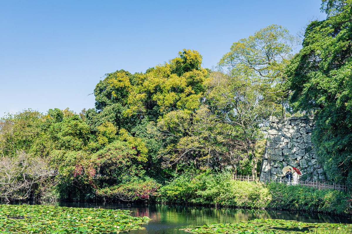 フォトスタジオ　フォトスタジオ 店舗　福岡フォトスタジオ　舞鶴公園（福岡城跡）