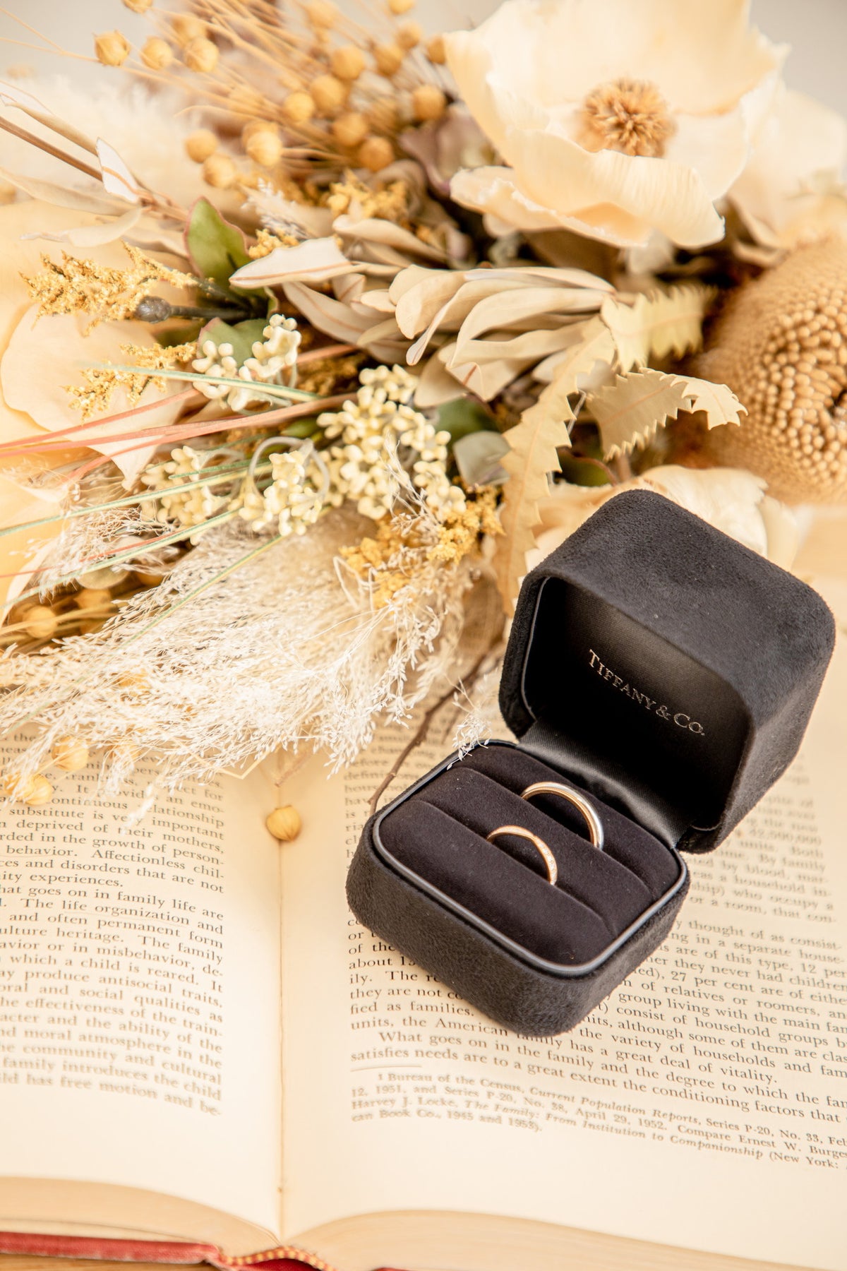 フォトスタジオ　フォトスタジオ 店舗　福岡フォトスタジオ　スタジオ洋装