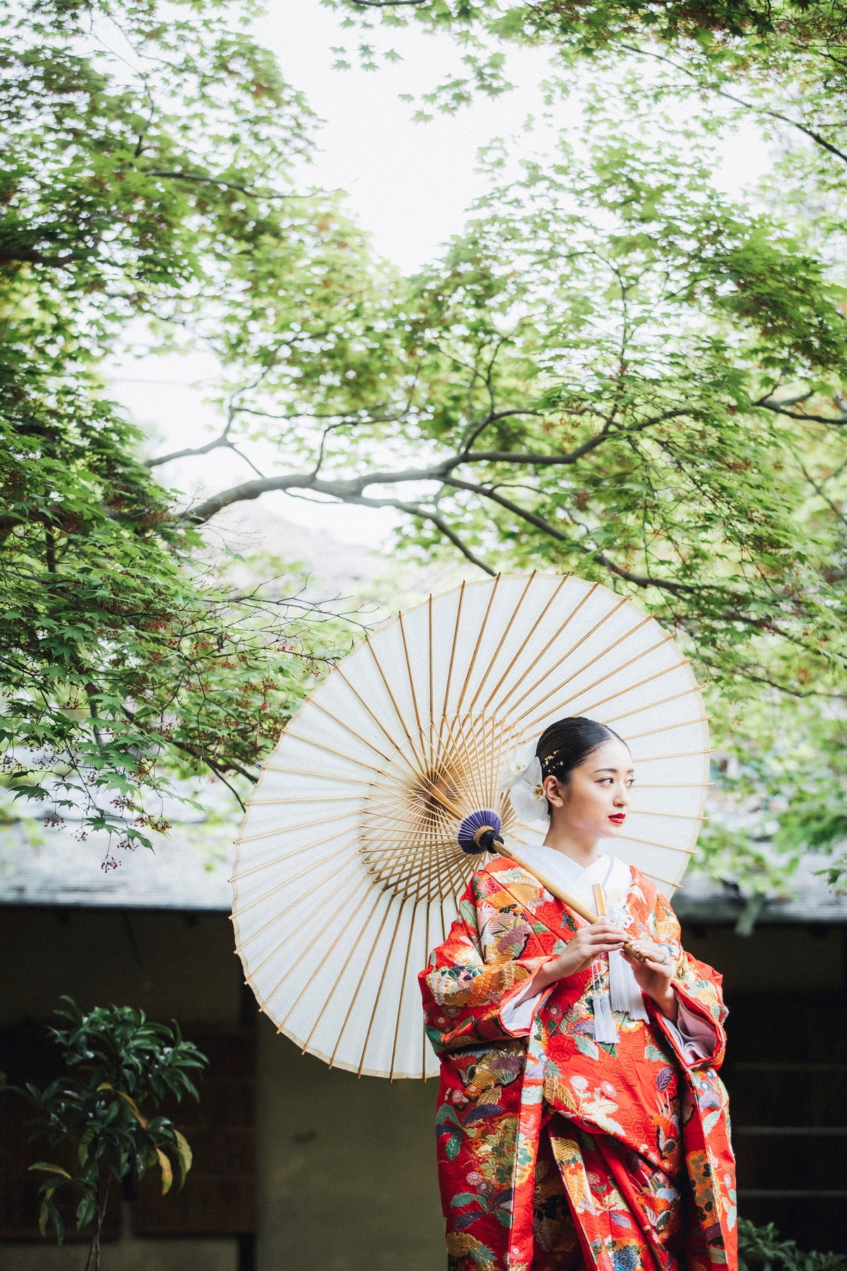 京都　上賀茂神社　リアルウェディング みちょぱ