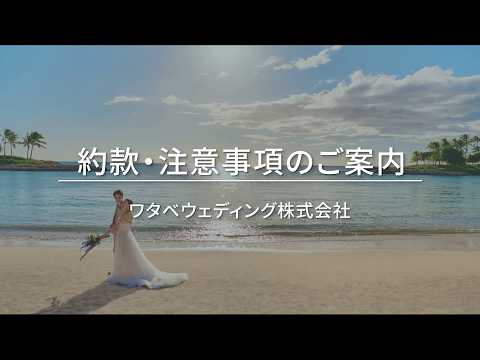 2026年7月改定