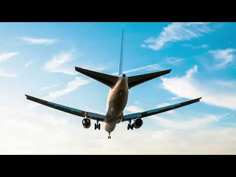 沖縄 旅行 観光 Smart Traveler 洗濯代行サービス