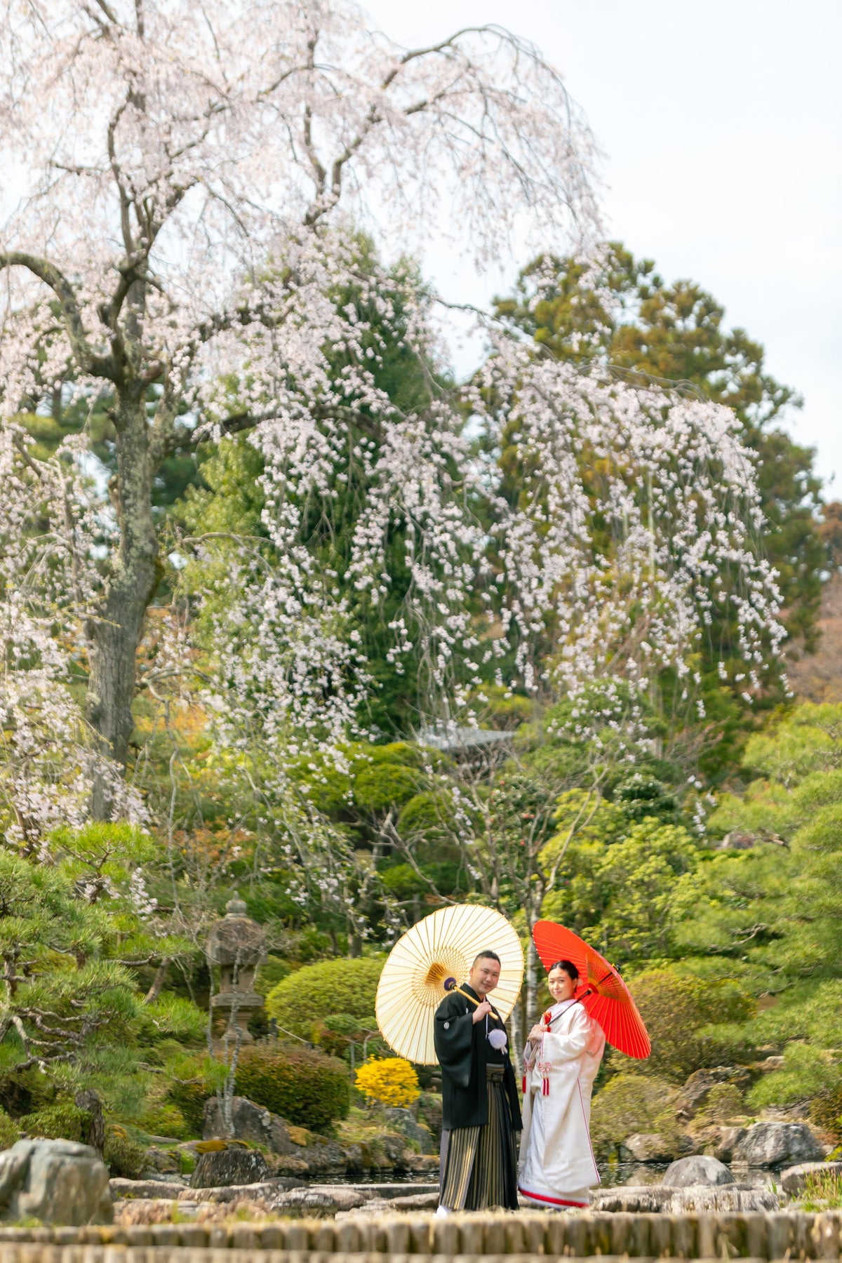 フォトスタジオ　フォトスタジオ 店舗　仙台フォトスタジオ　輪王寺
