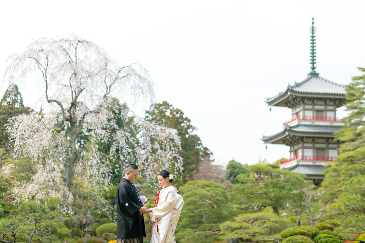 フォトスタジオ　フォトスタジオ 店舗　仙台フォトスタジオ　輪王寺