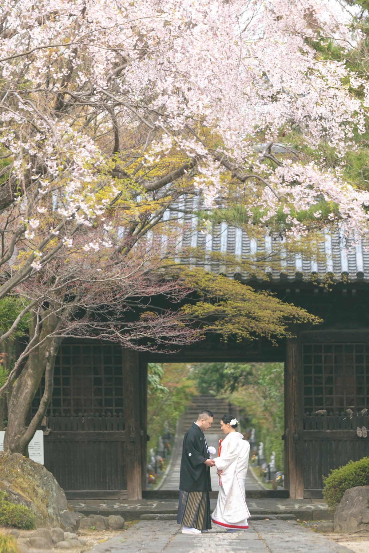 フォトスタジオ　フォトスタジオ 店舗　仙台フォトスタジオ　輪王寺
