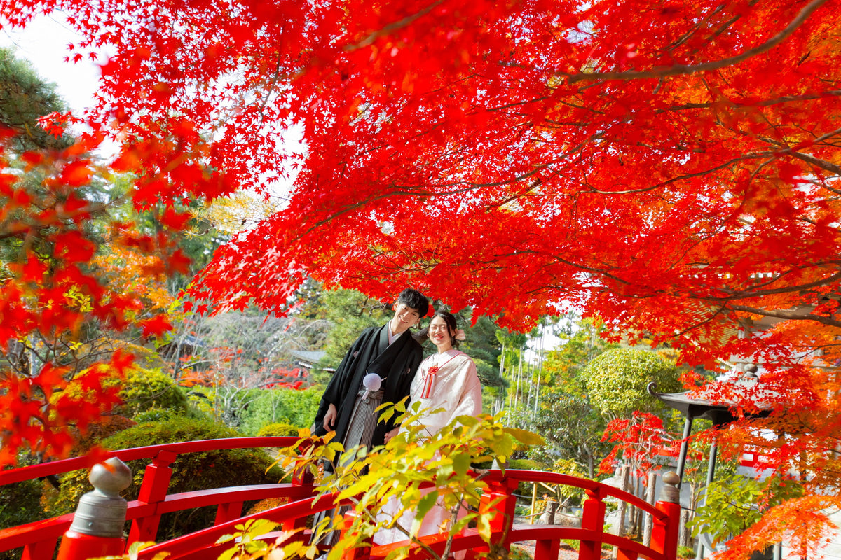 フォトスタジオ　フォトスタジオ 店舗　仙台フォトスタジオ　輪王寺
