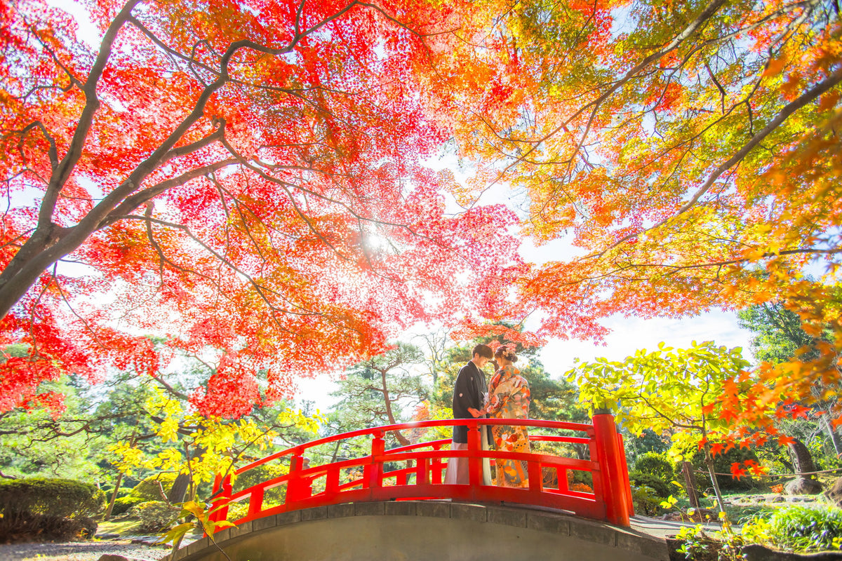 フォトスタジオ　フォトスタジオ 店舗　仙台フォトスタジオ　輪王寺
