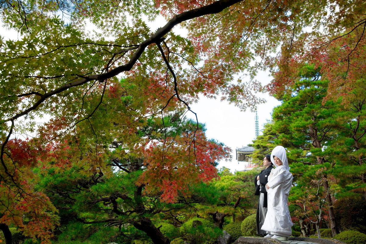 フォトスタジオ　フォトスタジオ 店舗　仙台フォトスタジオ　輪王寺