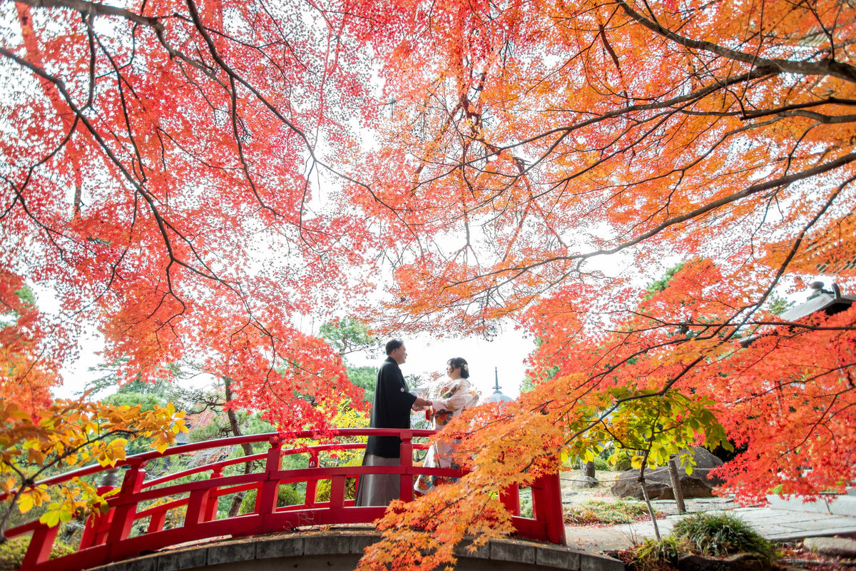 フォトスタジオ　フォトスタジオ 店舗　仙台フォトスタジオ　輪王寺