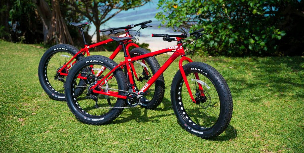 風を感じながらサイクリング(レンタルサイクル)