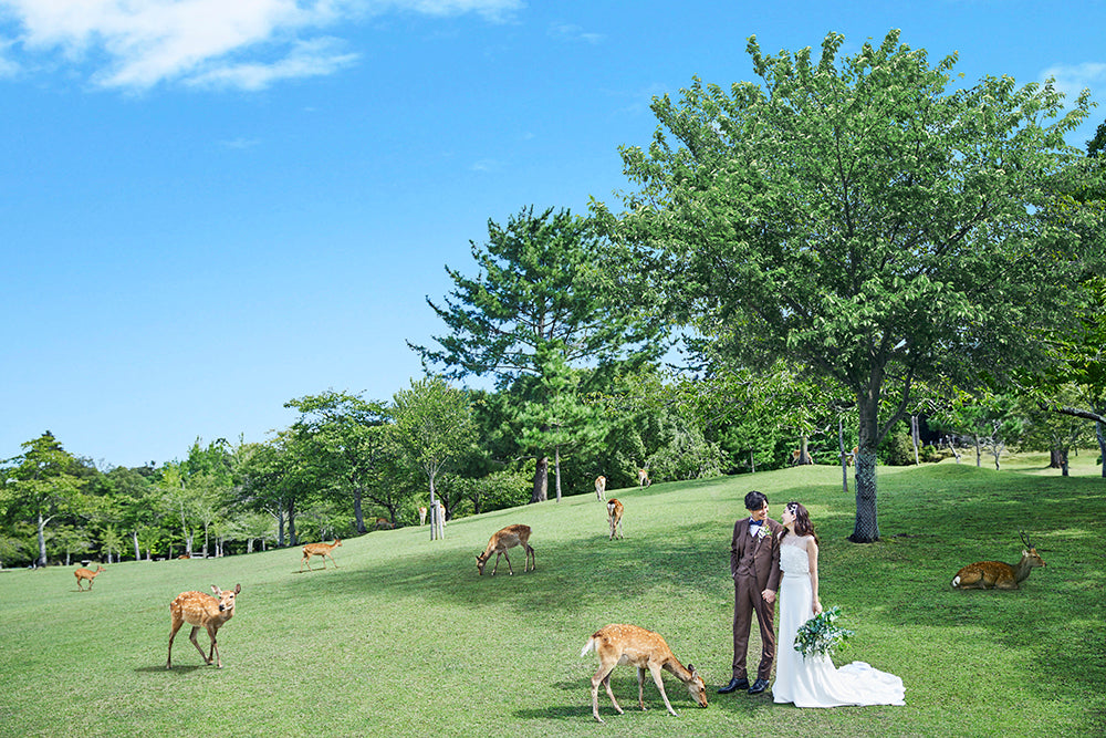 奈良公園エリアに位置する会場には、時折可愛いお客様も！奈良という舞台を存分に生かした空間にゲストも喜ぶ