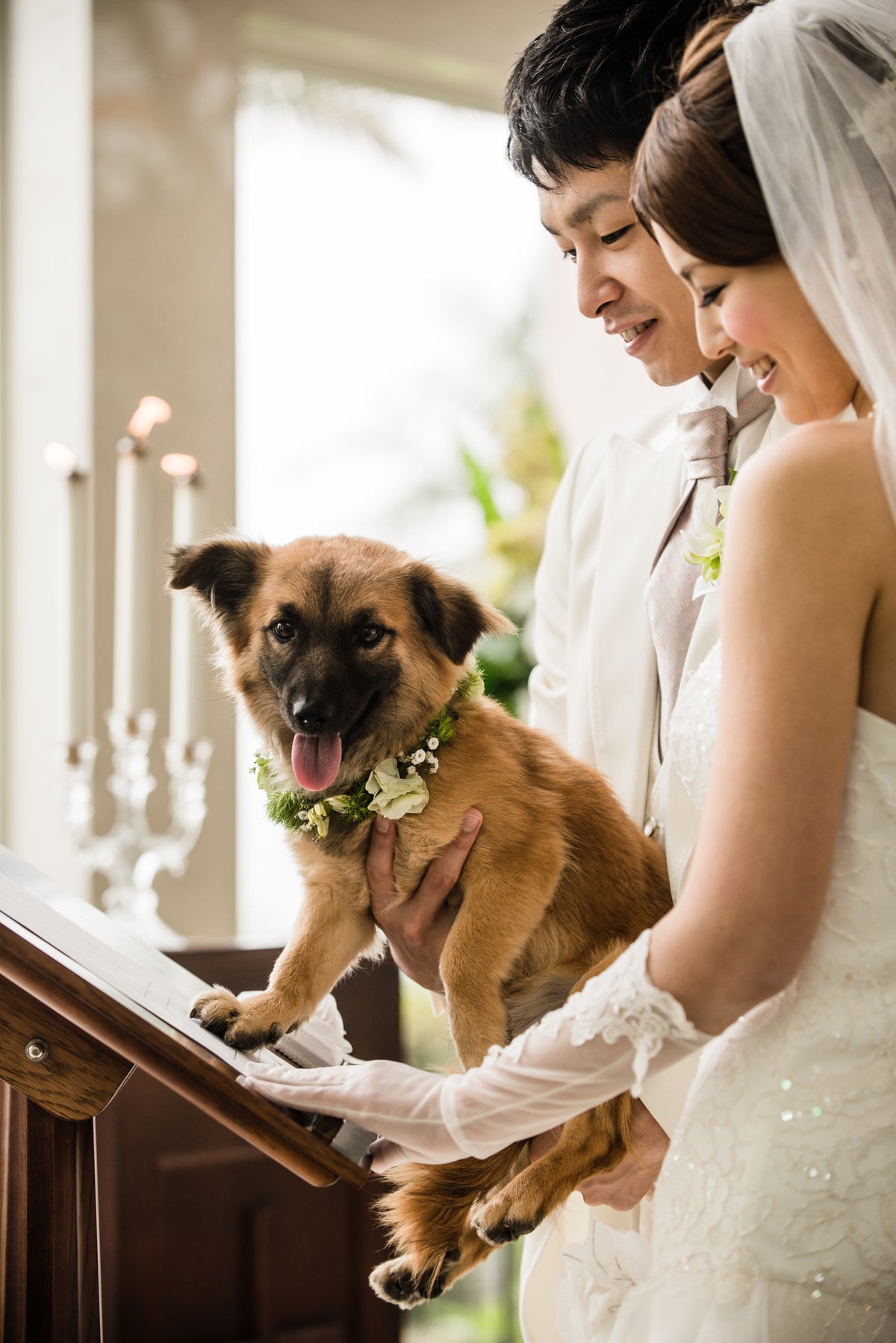 結婚証明書の愛犬肉球サイン