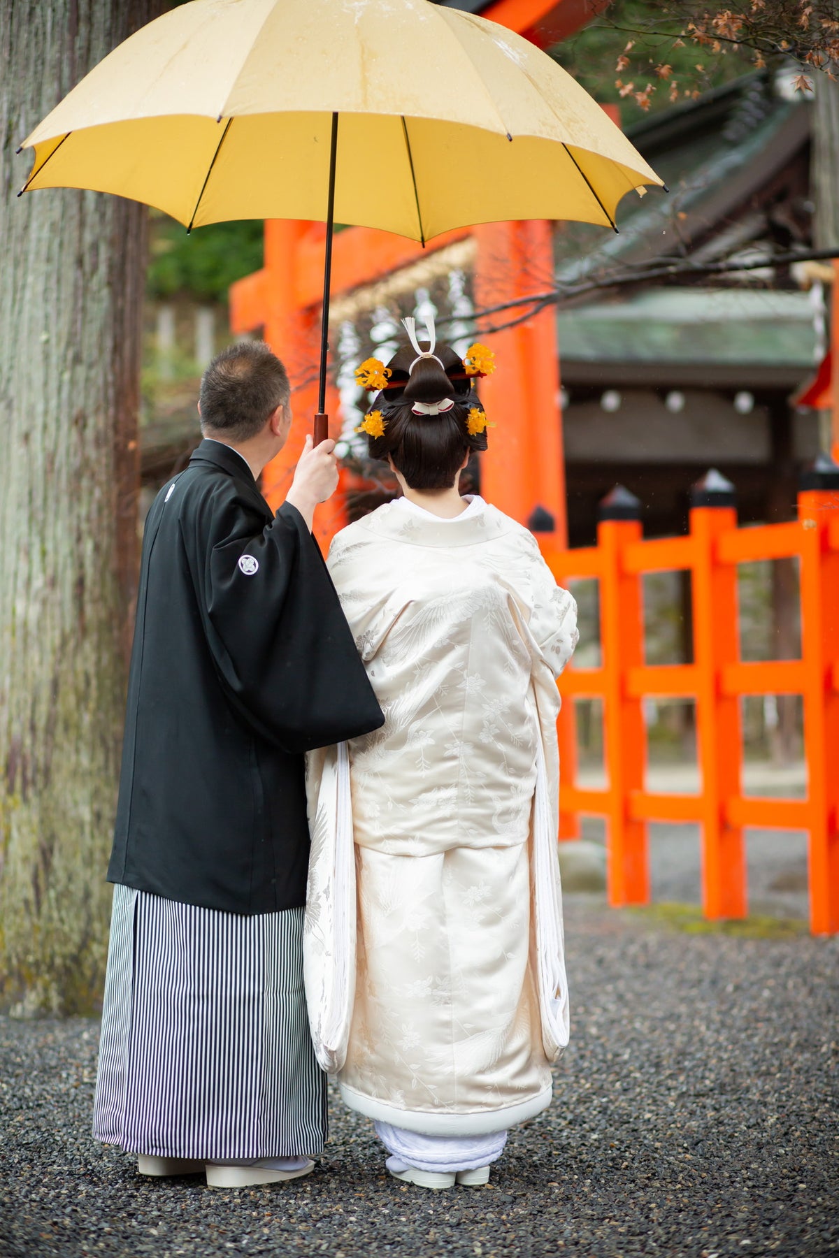 枝垂桜に鶴の舞 後