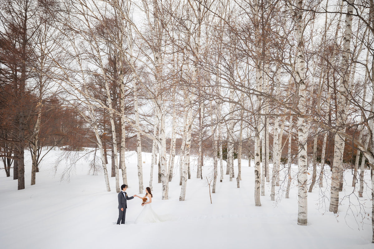 幻想的な雪景色の中の白樺林