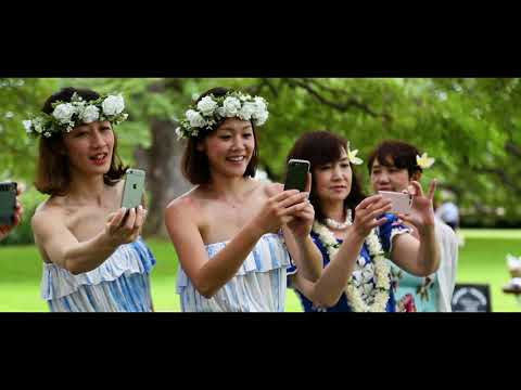 モアナルアガーデン 一眼レフシネマハイライト