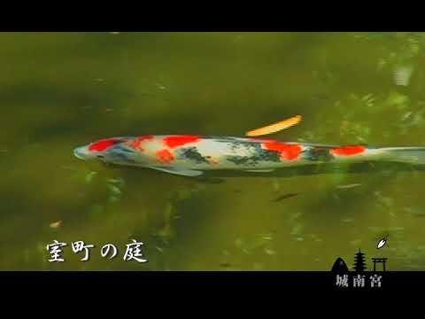京都 城南宮 プロモーションムービー