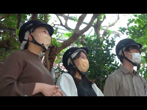 沖縄 旅行 観光 Gala青い海