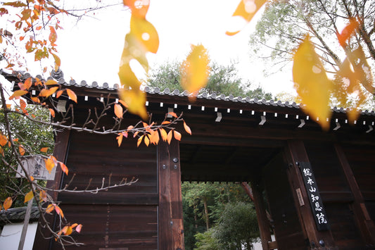 京都 知恩院 リアルウェディング 1105