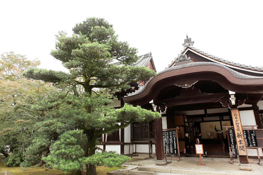 京都 知恩院