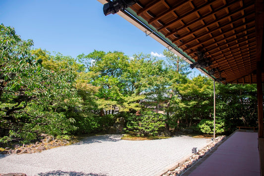 京都　圓徳院　境内ショット