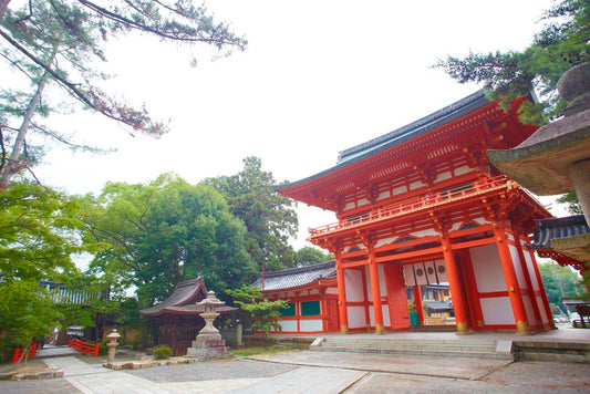 今宮神社は、平安時代より疫病の神を沈めるお社として創祀されました。