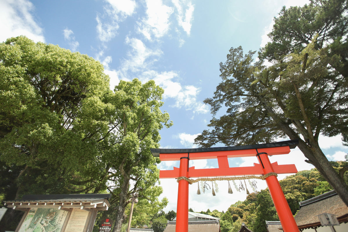 初夏の二の鳥居