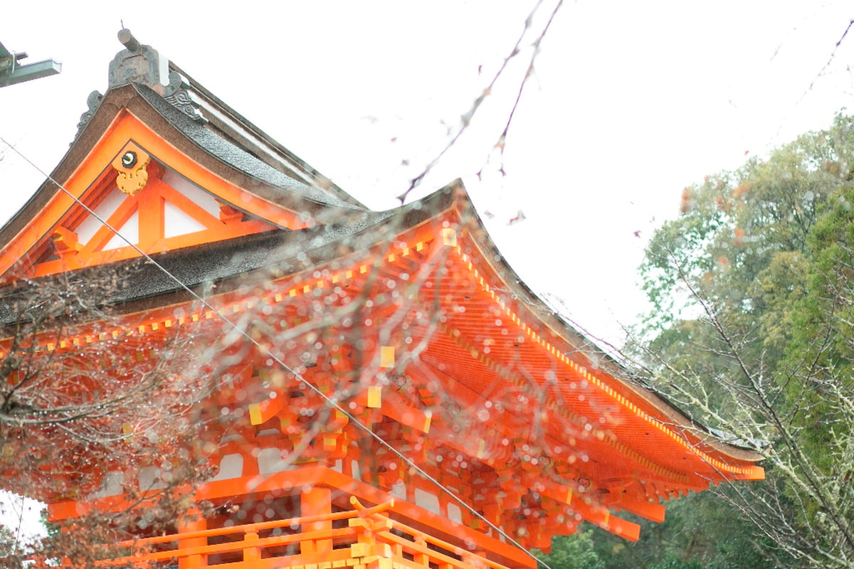京都　上賀茂神社　リアルウェディング 127