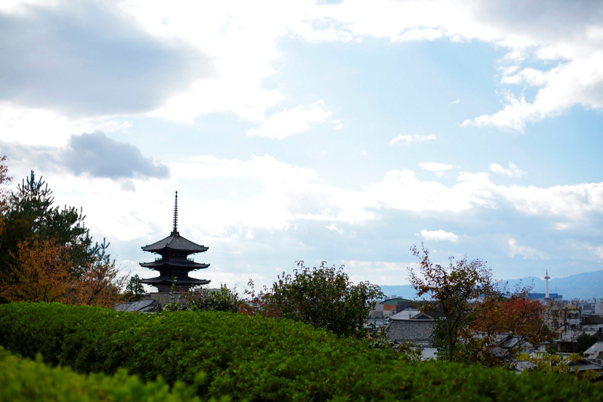 高台寺前からは八坂の塔を望める場所もあり、京都らしい景色が広がります