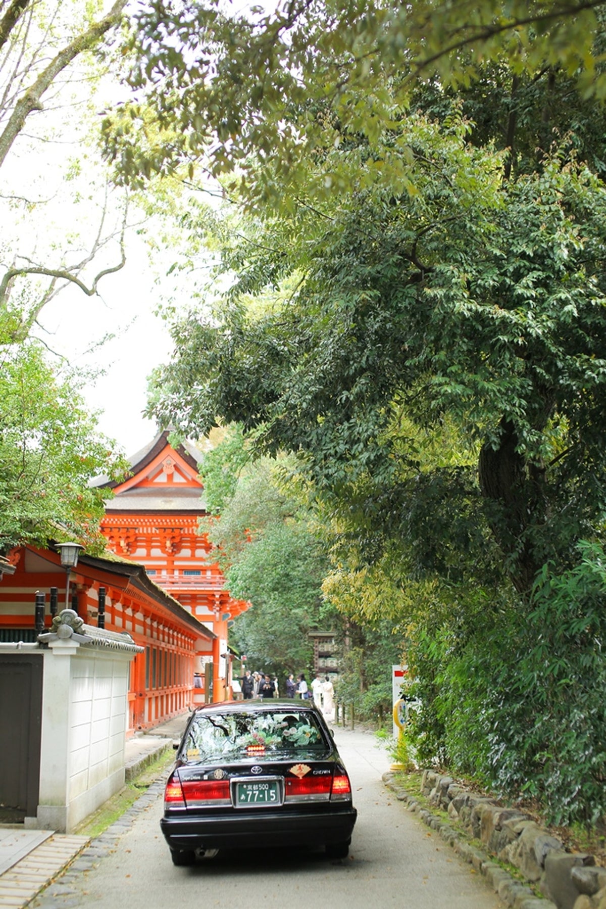 京都　下鴨神社　境内ショット