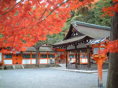 境内-紅葉の時期もお勧めです