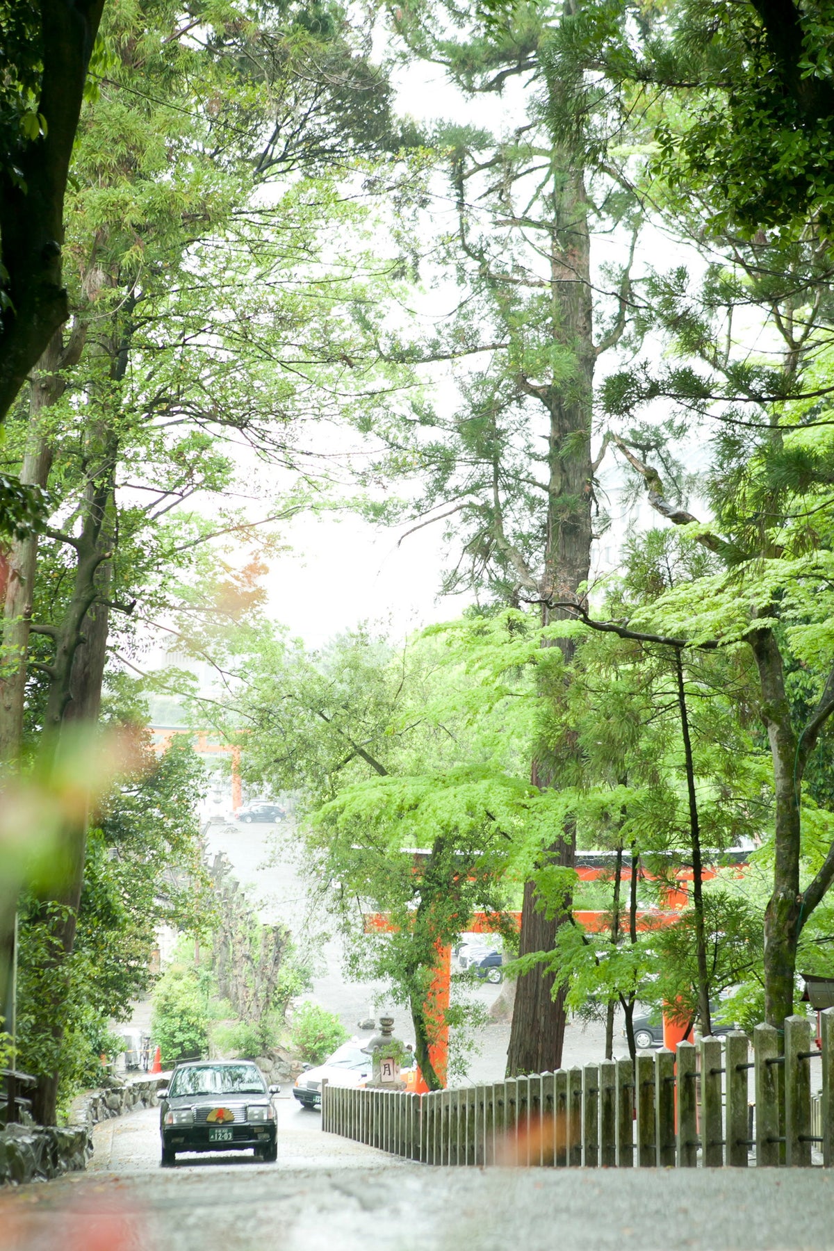  階段横の車道を花嫁専用車で上がります