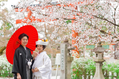 春は桜の木の下で