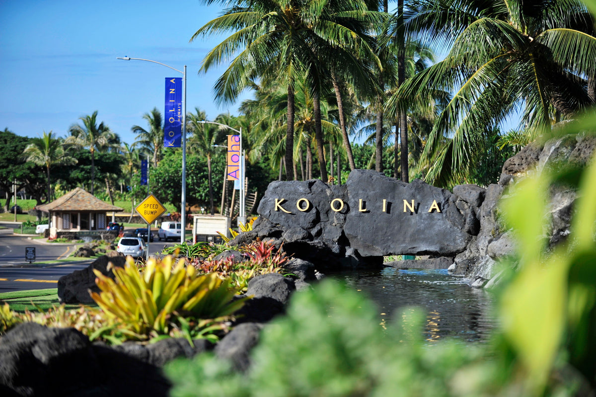 コオリナリゾートには専用ゲートがあり、特別なエリアであることが伝わります。誰でも入ることができるわけではなくしっかり安全に管理されています。