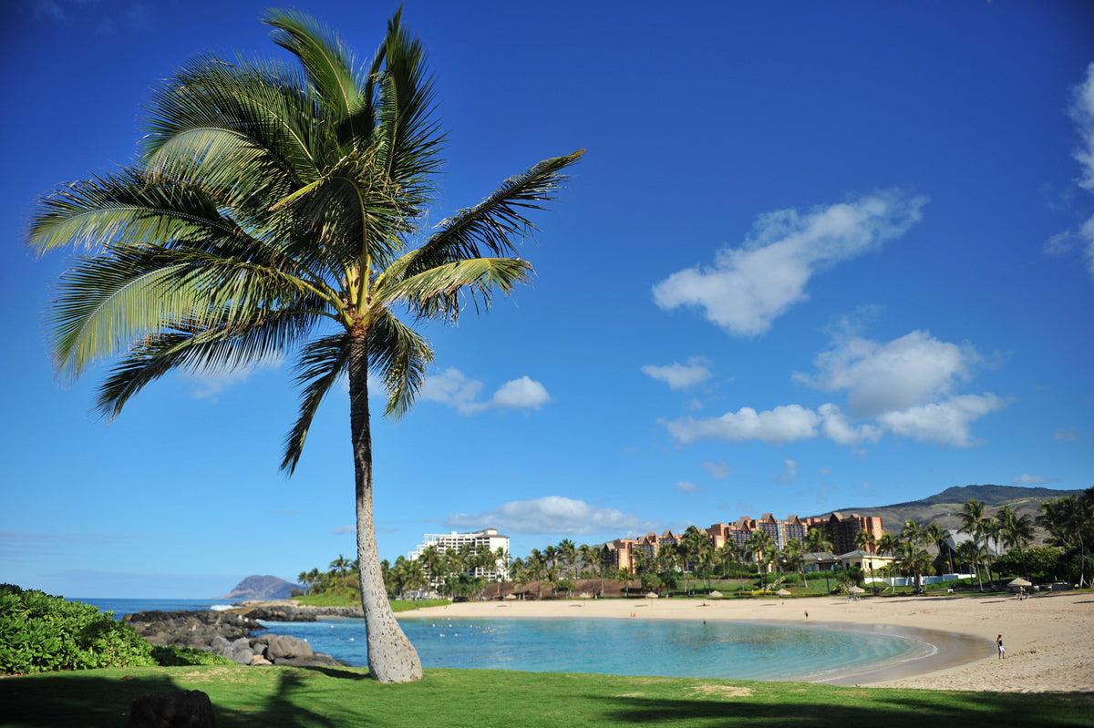 飛行機を使わずに行けるリゾート地として、地元ハワイの方々にも人気のコオリナは、晴天が多いエリアで晴天率80%と言われています。