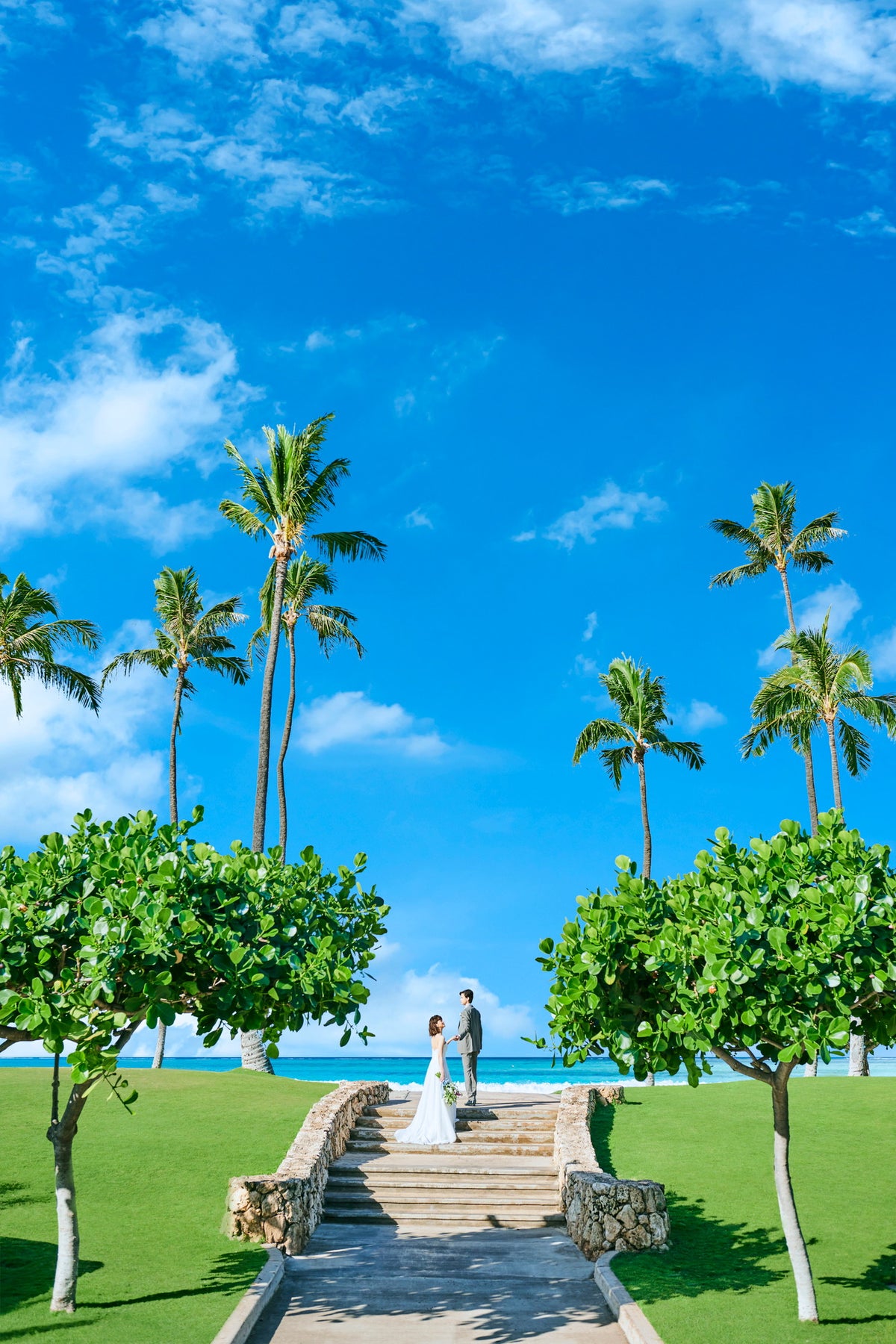 青い空、パームツリー、美しい緑に囲まれた開放的な写真はコオリナならでは