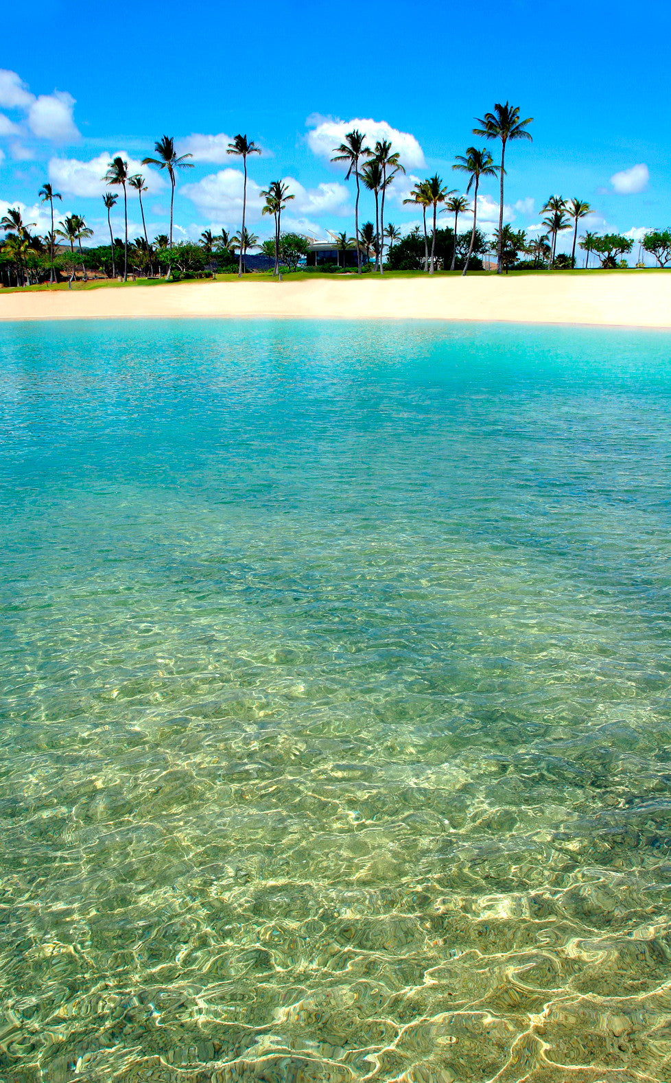 海の透明度は抜群!! 熱帯魚も泳ぐ美しい海がを独占!