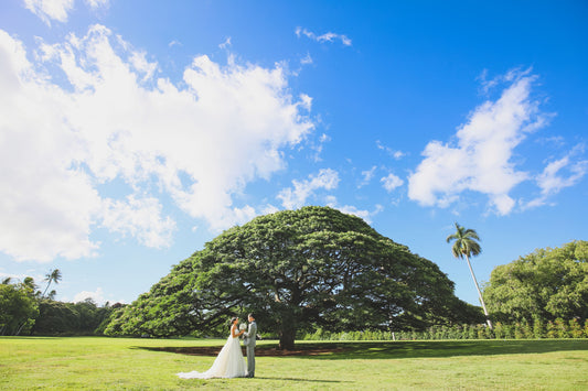 ハワイ オプション フォト 【オアフ島】モアナルアガーデンフォトツアー