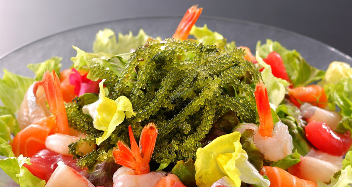 定番の沖縄料理をはじめ沖縄食材を生かした本格的な和食・中華メニューも豊富「琉球ダイニング はなふう」